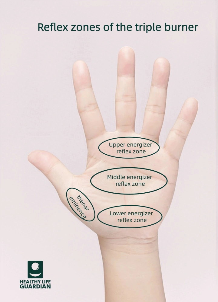 The palm is a holographic projection of the human body; tenderness or changes in certain areas of the palm may indicate diseases of the corresponding internal organs. Massaging these reflex zones can improve the health of the corresponding organs.